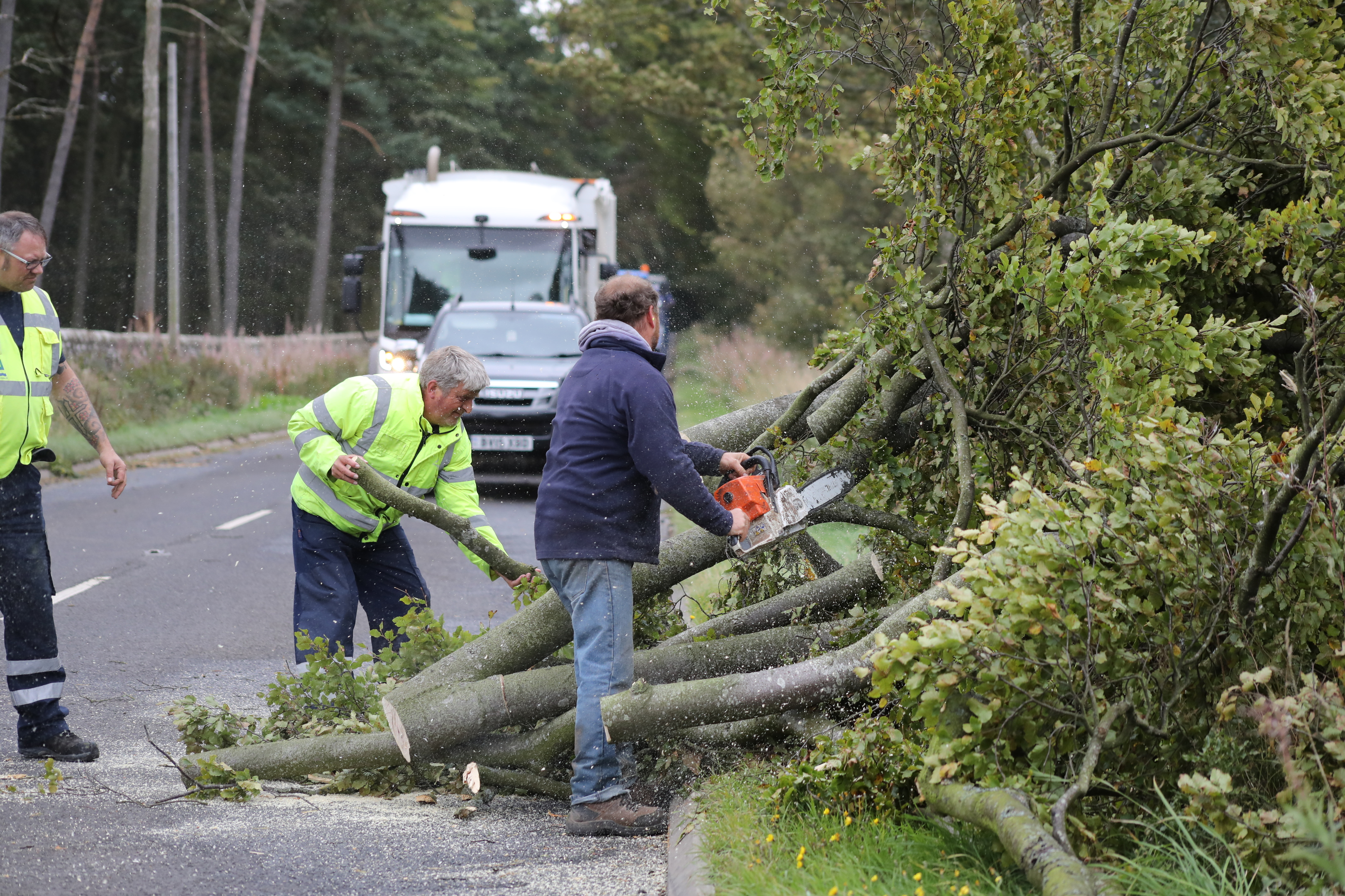 Trees being cleared near Carnoustie.