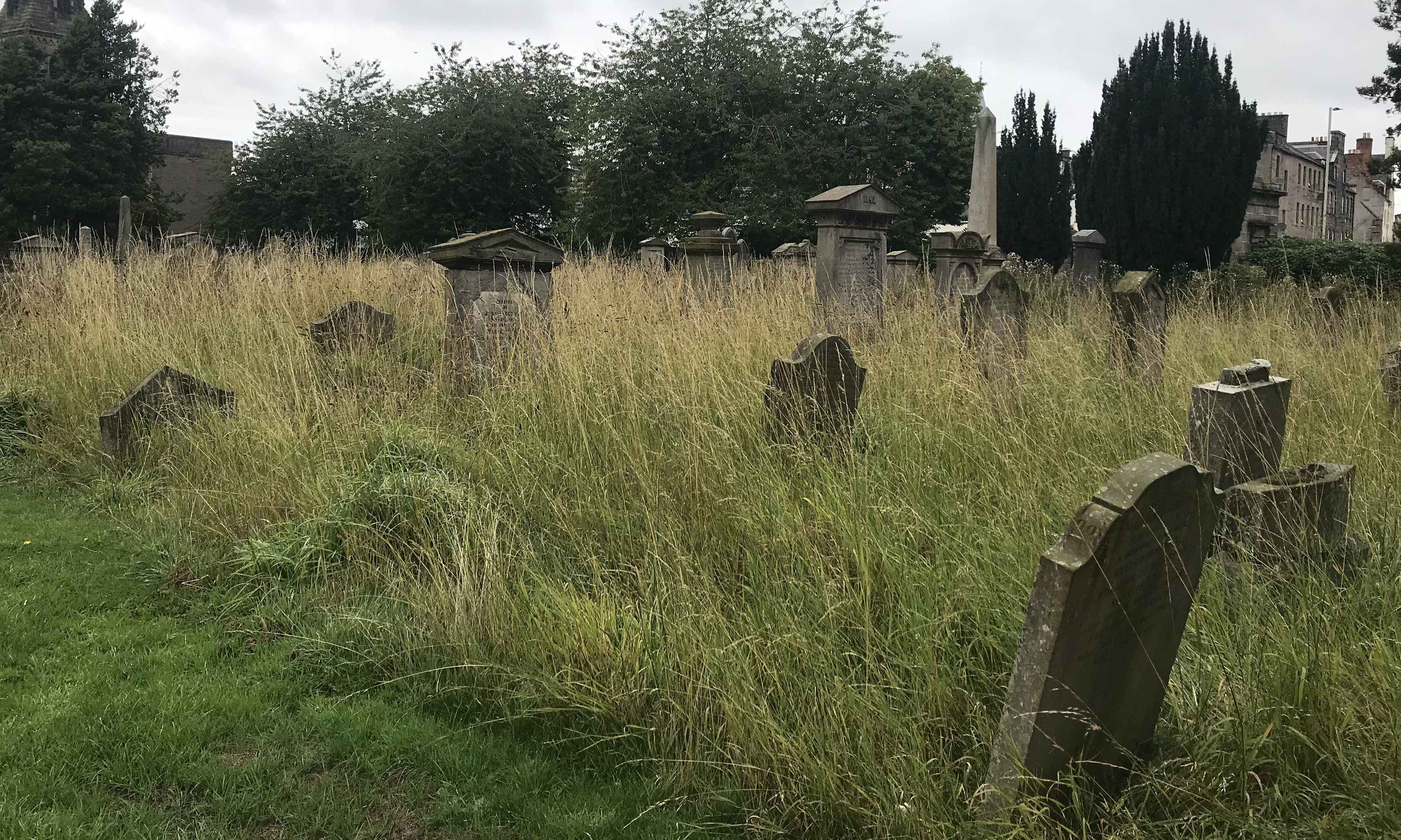 The overgrown Greyfriars churchyard in Perth.