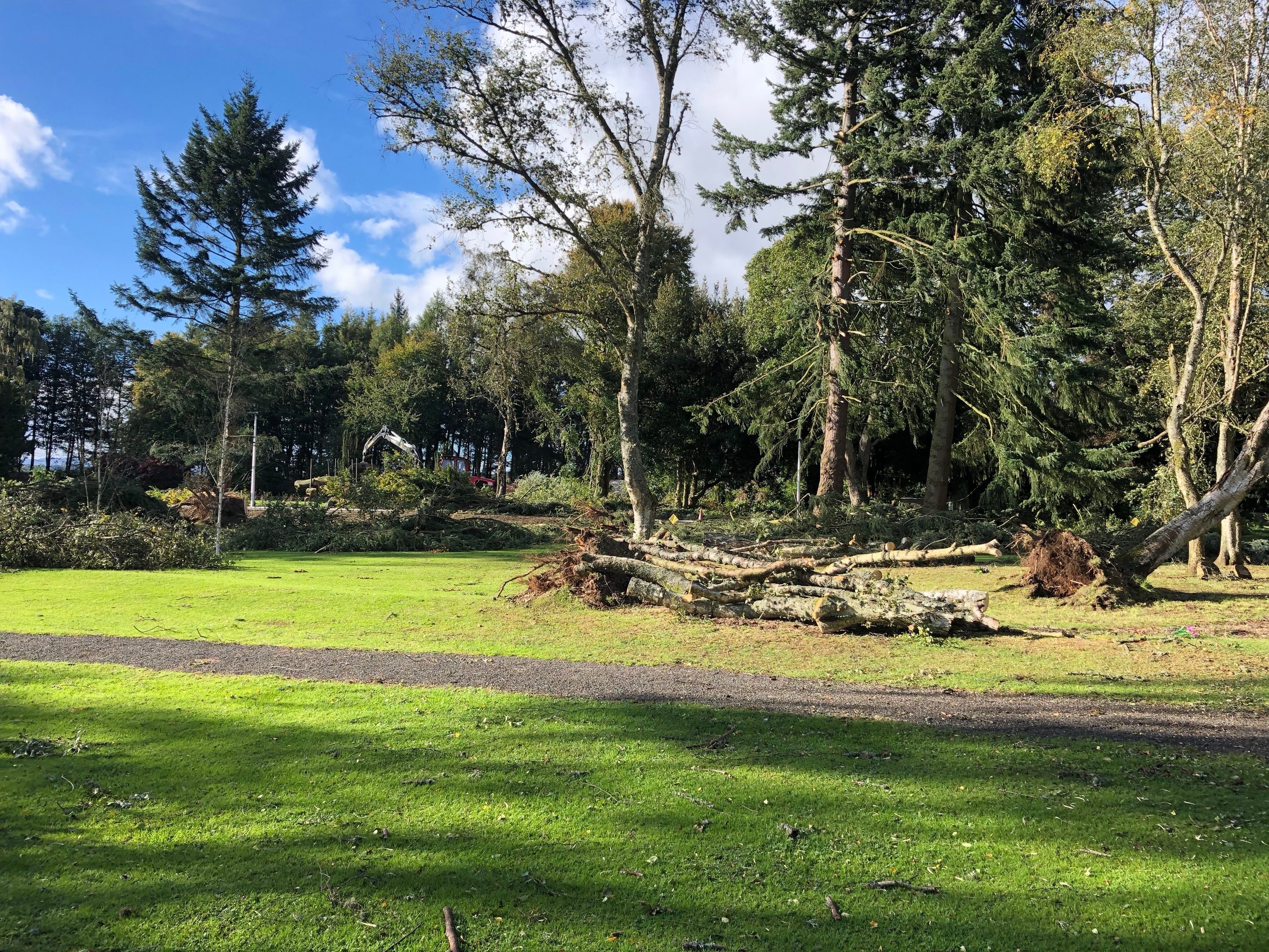 Around 20 trees have been damaged.