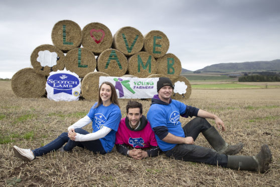 The bale art challenge will coincide with a nine-week promotional campaign to encourage Scottish consumers to enjoy more Scotch lamb.