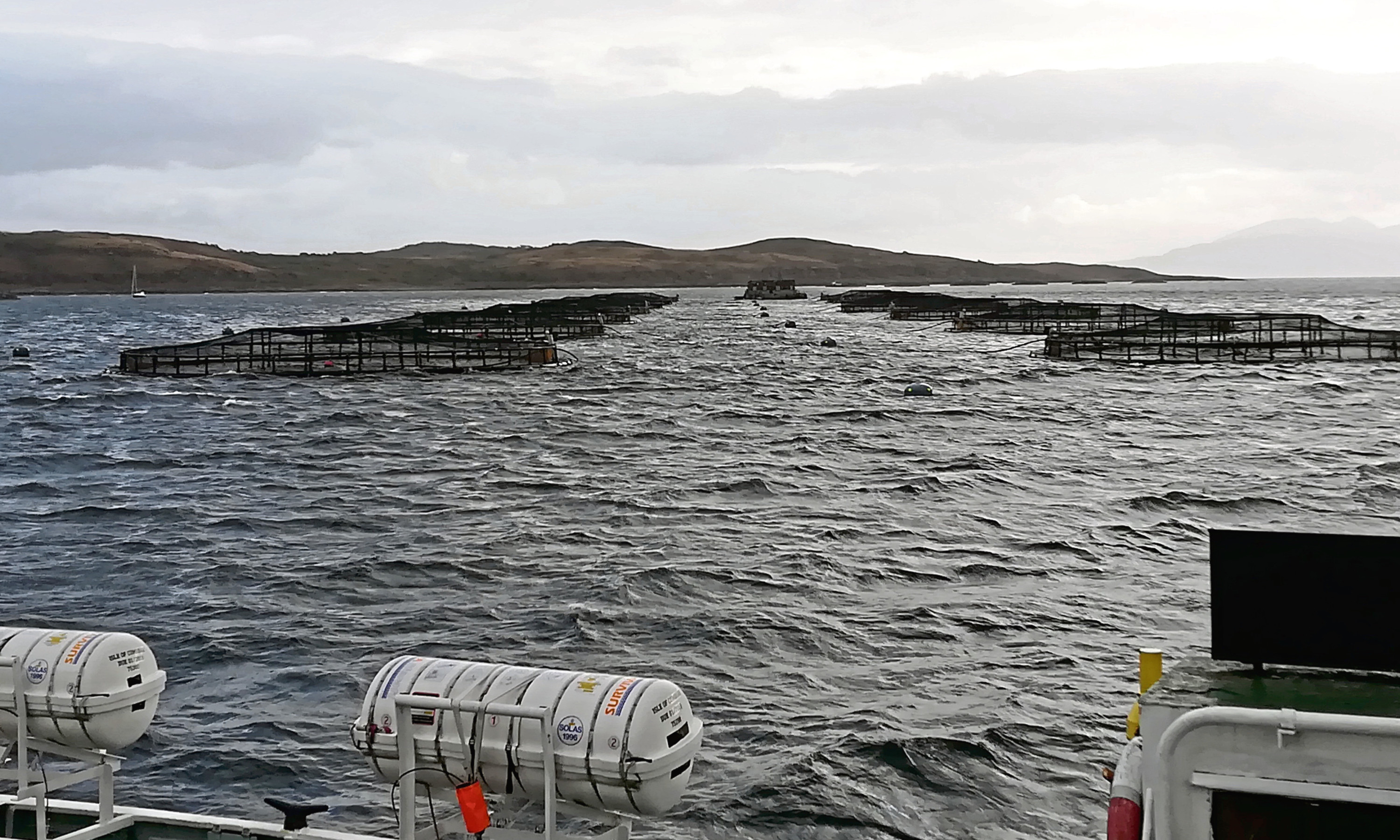 A fish farming operation in Loch Fyne