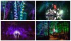 Photos of the 2018 Enchanted Forest.