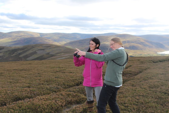 Glenesk Wildlife tour guide Jackie Taylor points out some red deer in the distance.