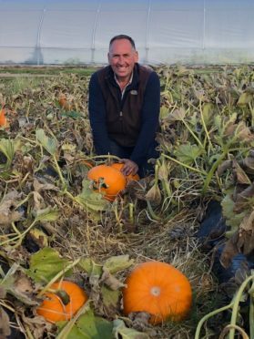 Grant Reid with his new range of pumpkins.