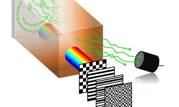 Laser light patterns are sequentially focused in time onto a region of interest inside biological tissue. Fluorescence emitted by the sample under each illumination pattern is collected with a single-pixel detector after passing back through the tissue. By adding up the projected patterns weighted by the intensities recorded, an image of the sample can be reconstructed.