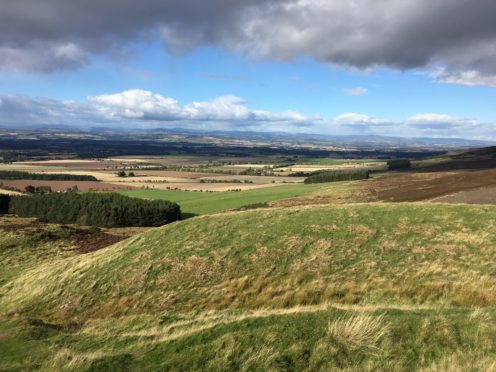 The view to Birnam Wood from the Fortress on Dunsinane Hill, supplied by our correspondent who argues not enough is being done to promote Perthshire tourism.
