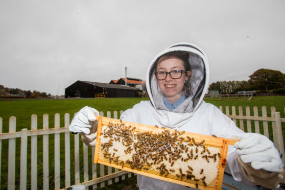 Charley Clark has worked at the distillery for over a year and has become passionate about bees.