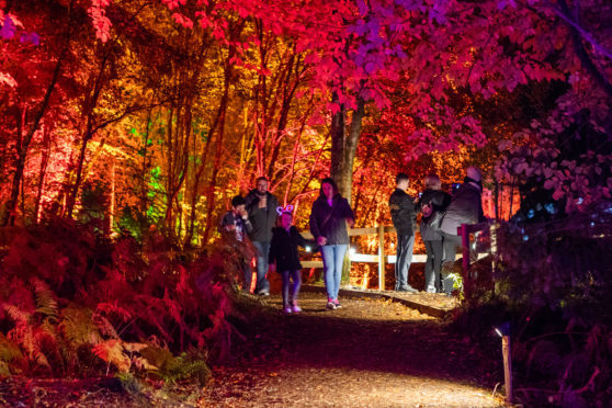 People enjoying the Enchanted Forest in Faskally Woods.