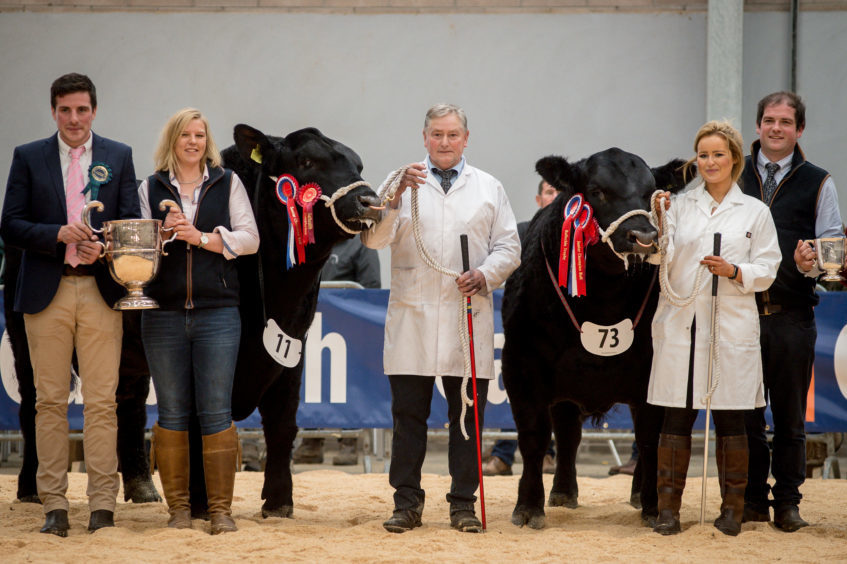 Overall champion, Rulesmains Egbert T872, left, with Stewart Renton and reserve champion, Tynet Pegasus T033, with Cara Thonson from Aberdeenshire, right