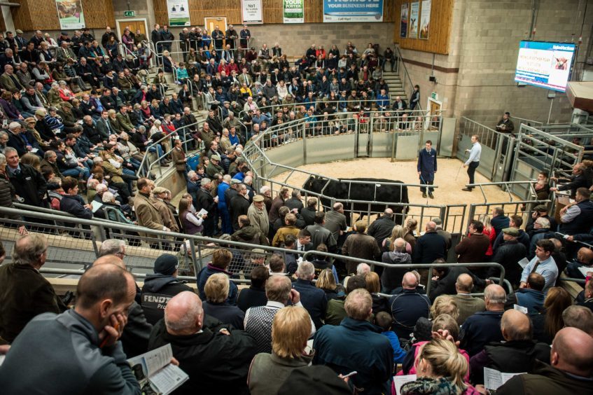 The sale ring was packed to capacity for the dispersal sale of the Moncur Herd.