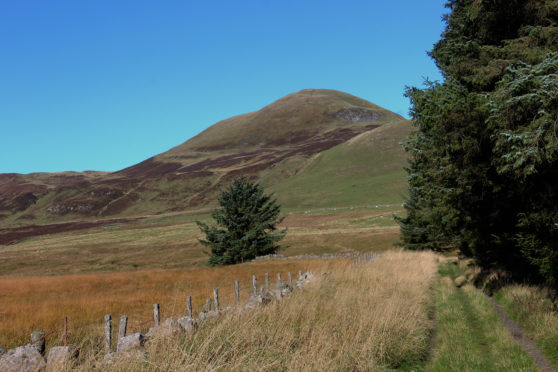 The family have farmed the West Lomond Hill for the past 80 years. Image: James Carron
