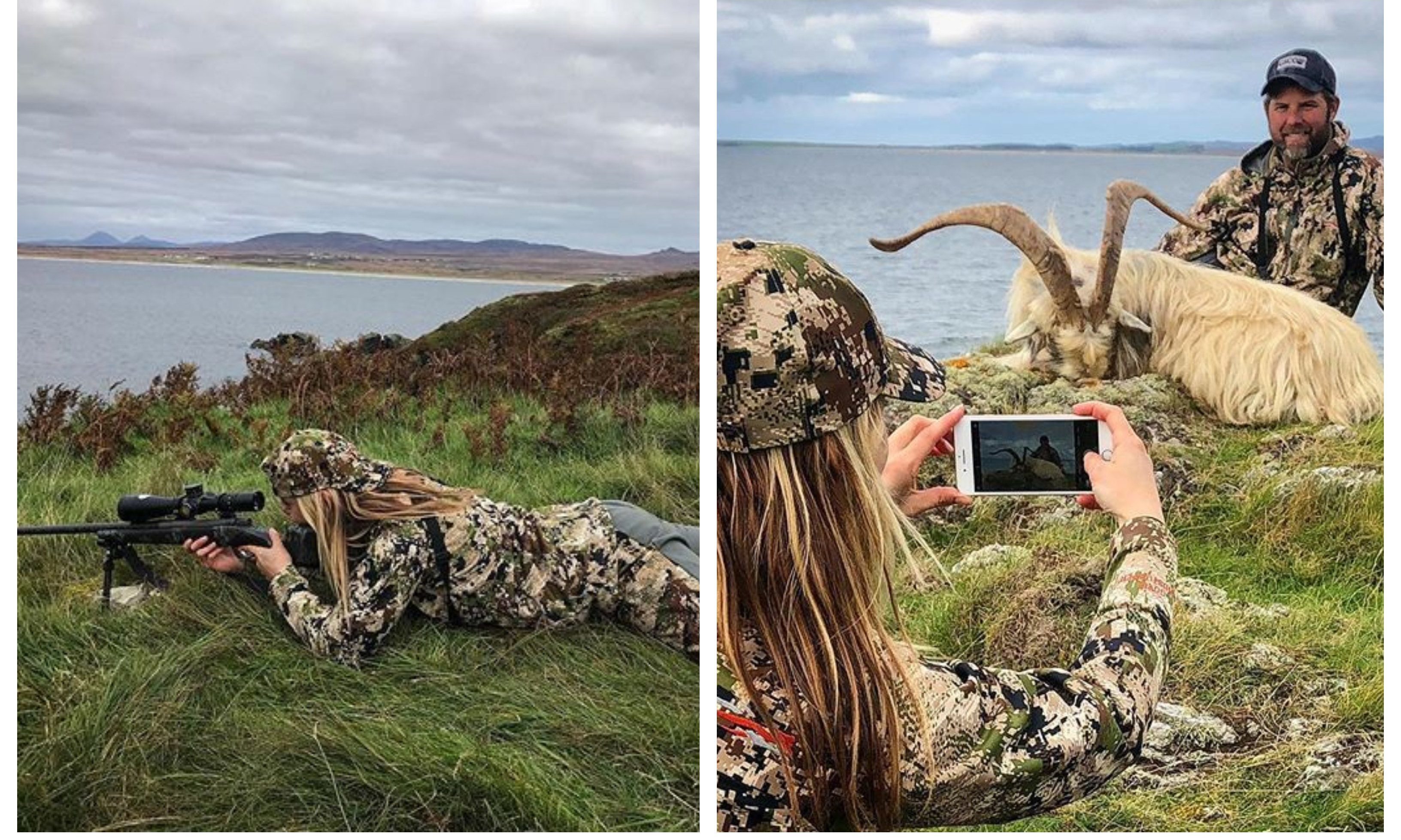 Images of a goat that was hunted on Islay.