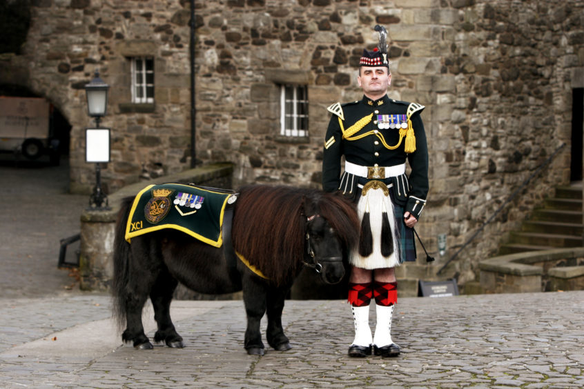 Stirling Castle:           Argylls' Pony Major  William Perrie with " Cruachan the 111"