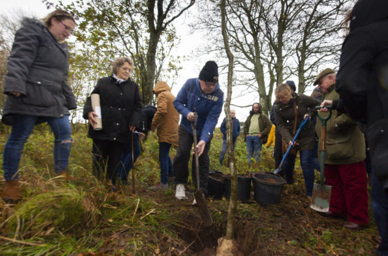 Steven Donaldson's dad Bill placing earth around the oak tree planted in his memory.