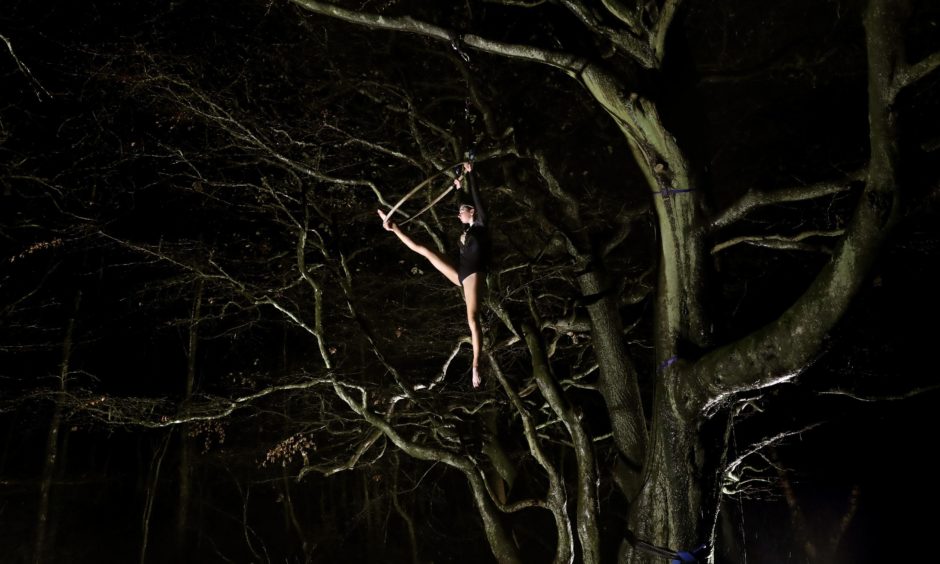 Miriam Wolanski playing the part of the Druids as she glides through the tree tops.
