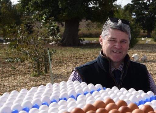 A change in buying habits would be better for hens and farmers.