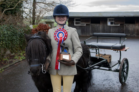 Che Paton with carriage driving mount Kerryston Ernest