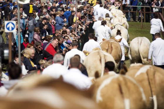 Royal Highland Show members are concerned about the departure of many experienced staff.