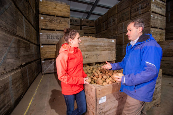 Rural Affairs Minister Mairi Gougeon with seed potato producer Andrew Skea at his East Mains Farm, near Dundee. Picture: Steve MacDougall.
