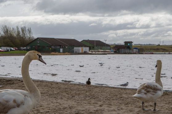 The University of St Andrews Boat Club wants to build a boathouse by the outdoor education centre at Lochore Meadows Country Park