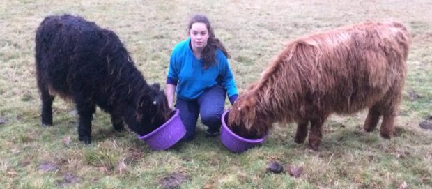 Fione Cruikshank alongside her calves Bru and Fern.