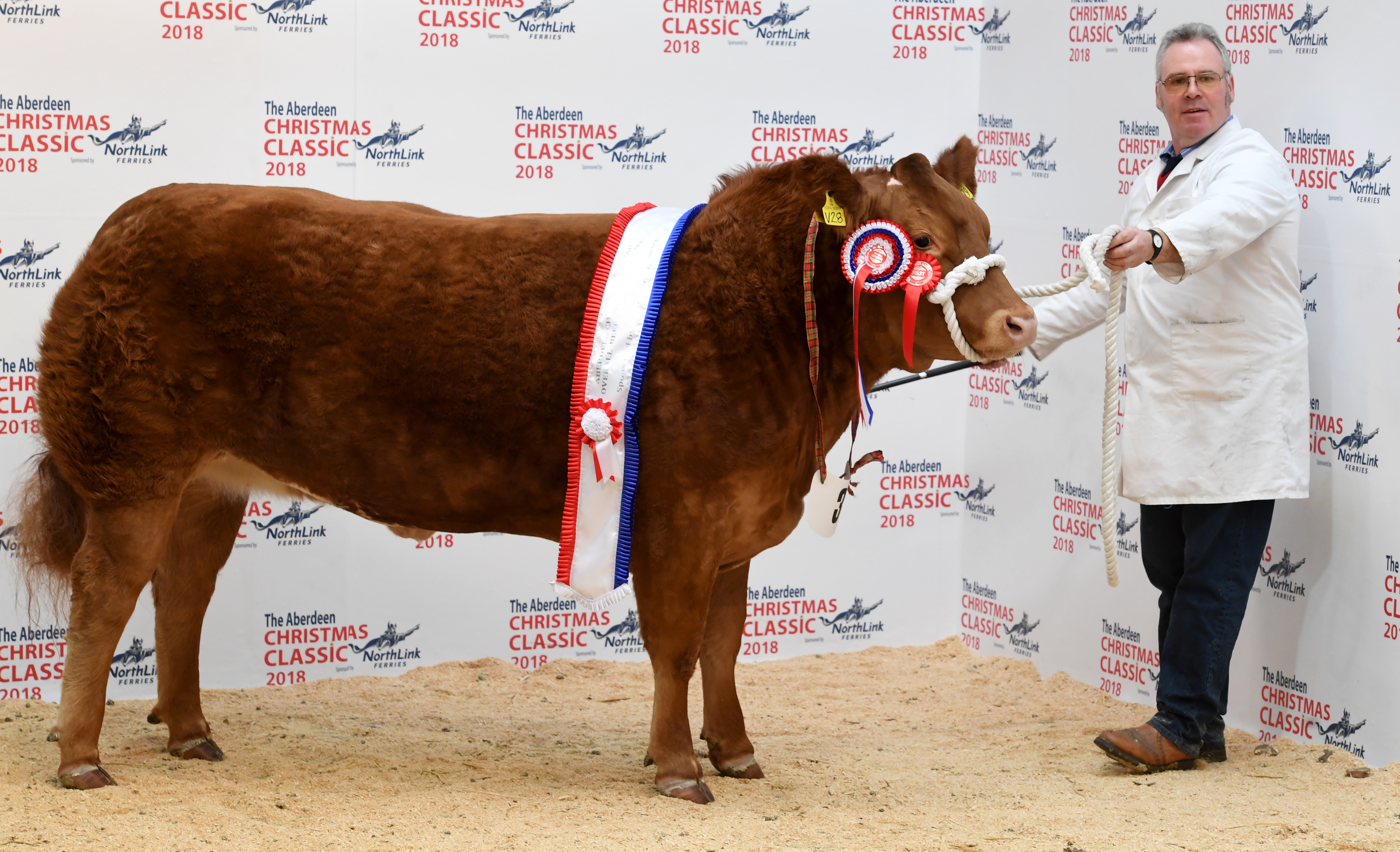Cheeky Kiss from Wilson Peters won the overall championship and sold for £4,600.