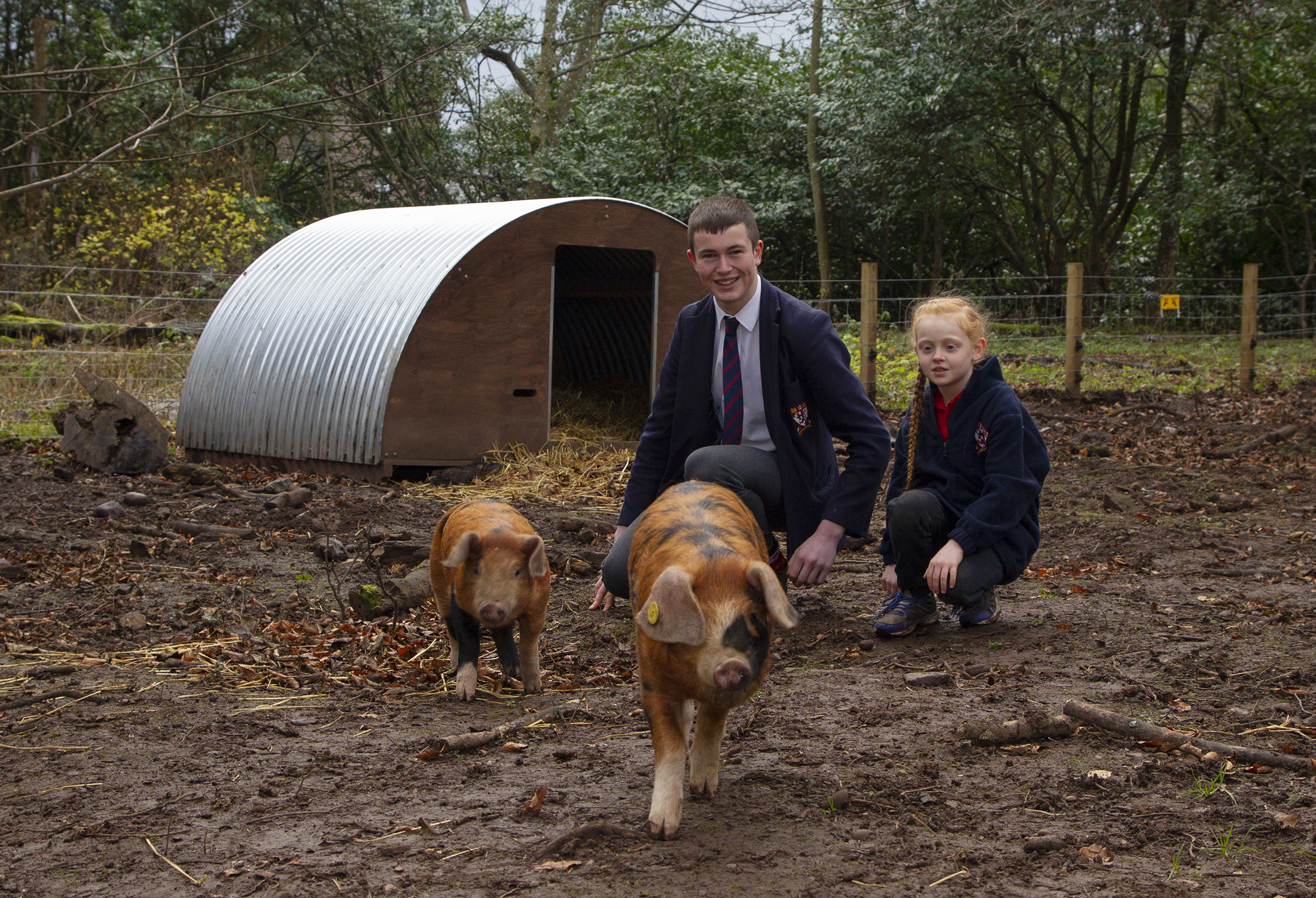 Lathallan School pupils Claudia Green, 7, and Fraser Dandie, 16, get to know the new piglets at the school.