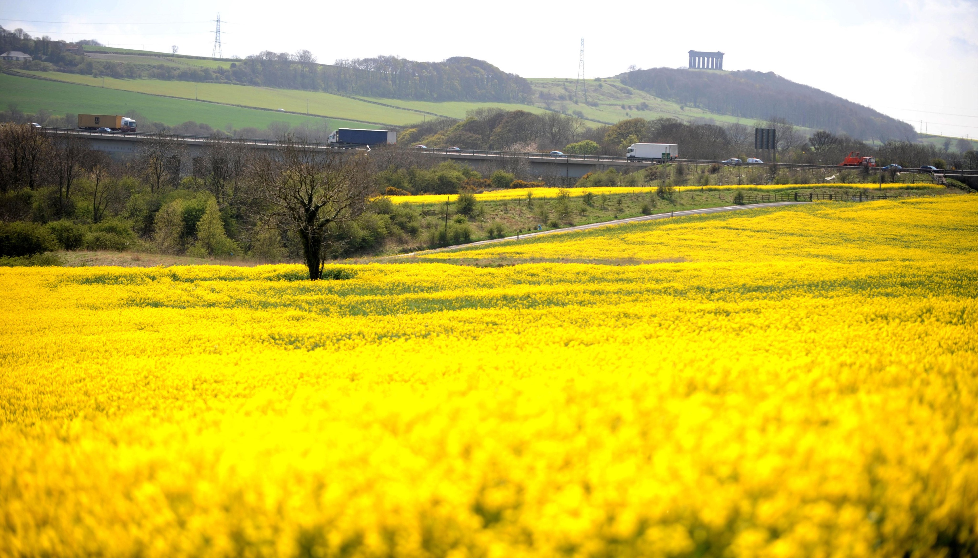 Metaldehyde is widely used on oilseed rape, potato and cereal crops.