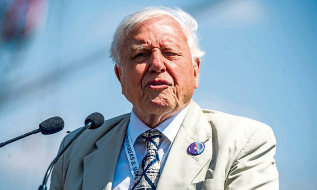 Broadcaster and naturalist Sir David Attenborough.