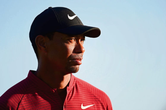 Tiger Woods personal Bung remains retired, but he wins one of the other categories in T2G's annual awards.