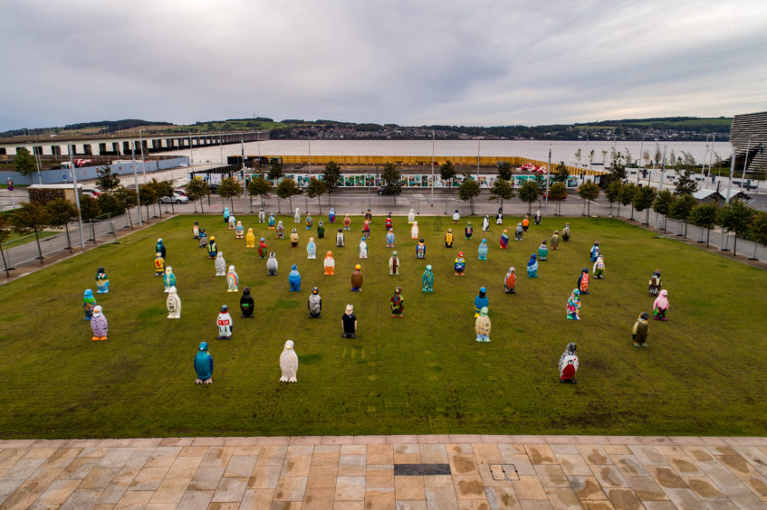 The penguins all together one last time at Slessor Gardens. Courtesy Rising View Ltd