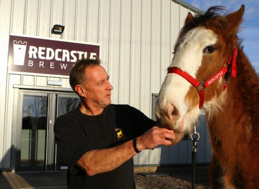 Judges include  John Anderson from Arbroath, who will place the Clydesdale in-hand females.