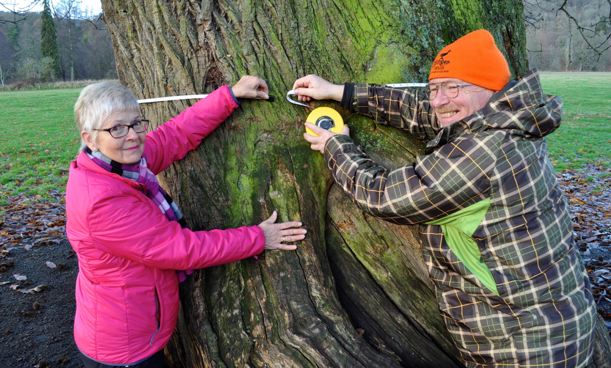 Judy Dowling and Noel Fojut take the Murthly Castle tree's vital statistics
