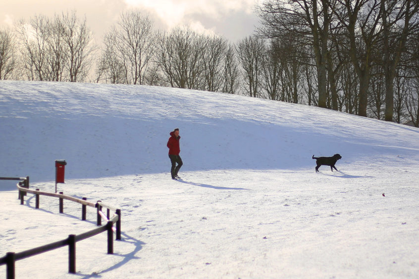 A dog walker enjoyed a sunny spell in the snow at Gillies Park, Barnhill. Kris Miller/DCT Media