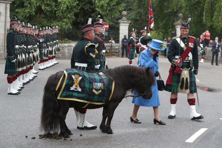 Queen Elizabeth II talks to Pony Major Mark Wilkinson with regimental mascot Cruachan IV as she inspects Balaclava Company, 5 Battalion The Royal Regiment of Scotland at the gates at Balmoral. Andrew Milligan/PA Wire