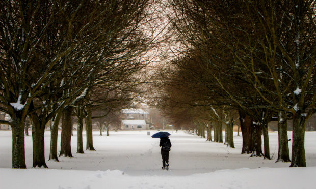 South Inch, Perth, during the Beast from the East,