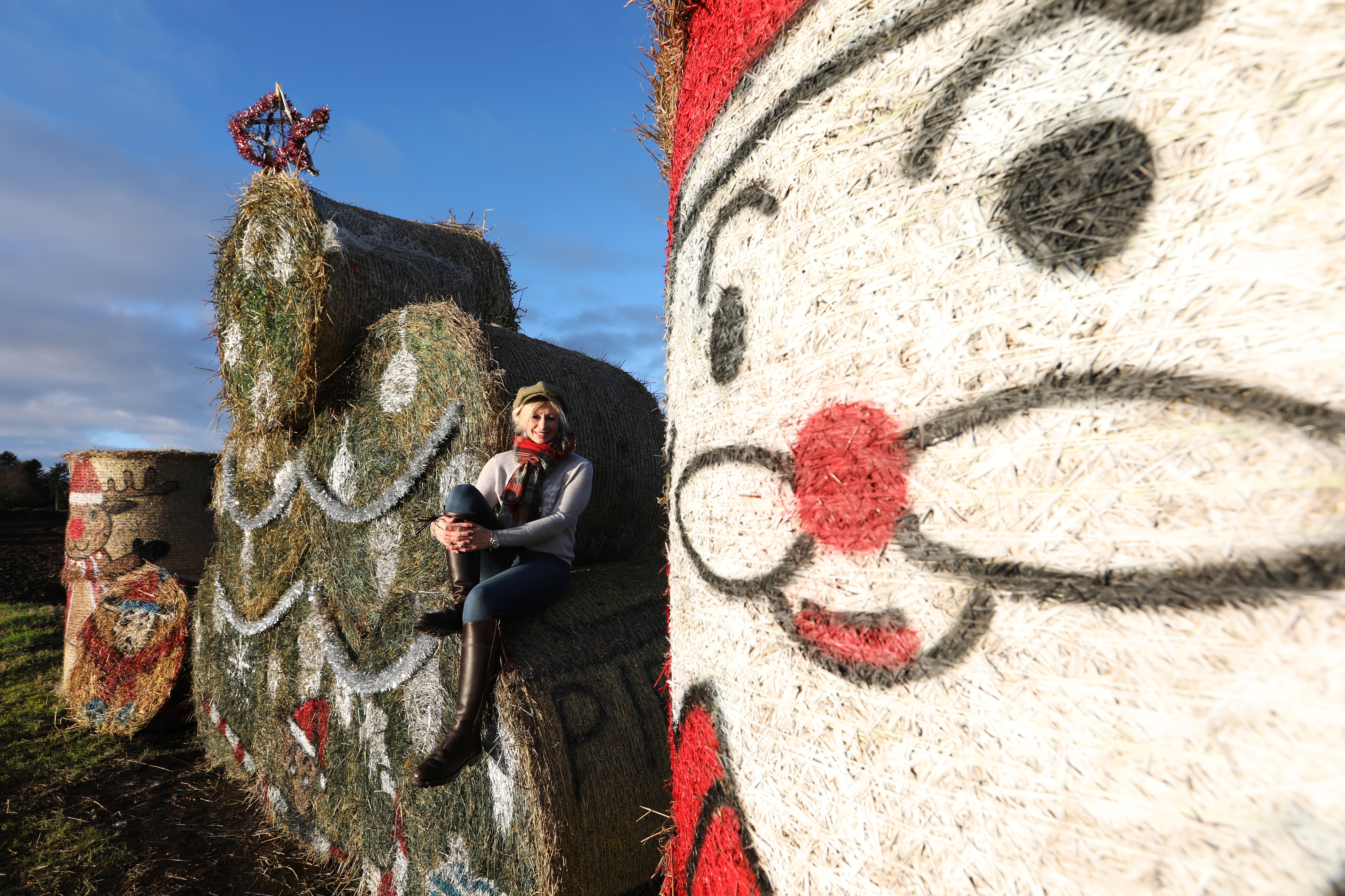 bale artist Fleur Baxter unveils her Christmas artwork