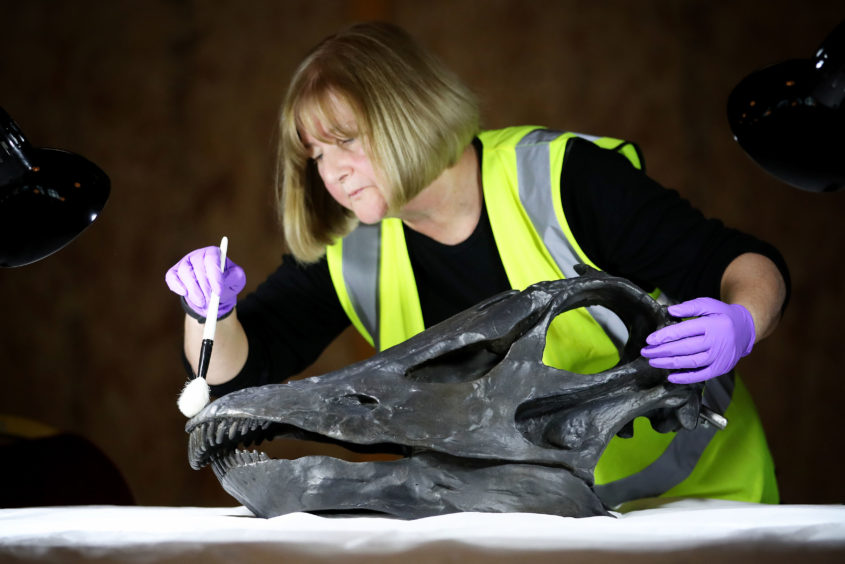 Head of Conservation Lorraine Cornish cleans the skull of Dippy, the famous diplodocus from the Natural History Museum, which is being put back together after being transported to Glasgow in 16 bespoke crates, ahead of going on display in the main hall at the Kelvingrove Art Gallery and Museum.