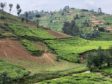 Rwanda – the land of 1,000 hills – makes maximum use of its rich volcanic soils to bolster its agricultural sector.