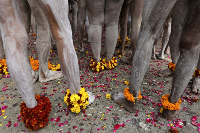Kumbh Mela lasts 45 days with 30 million people expected to attend on 4 February for the most auspicious bathing day.