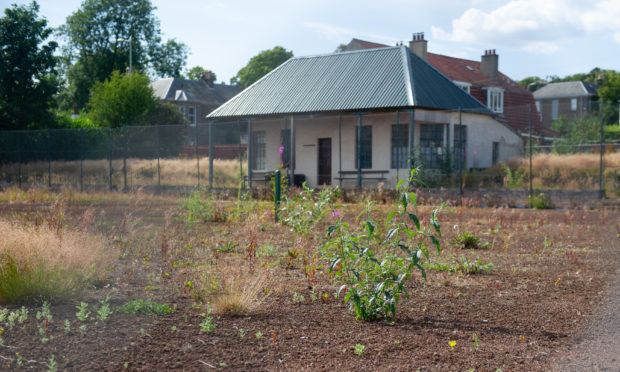 Craigmuir Tennis Club has fallen into a dilapidated state.