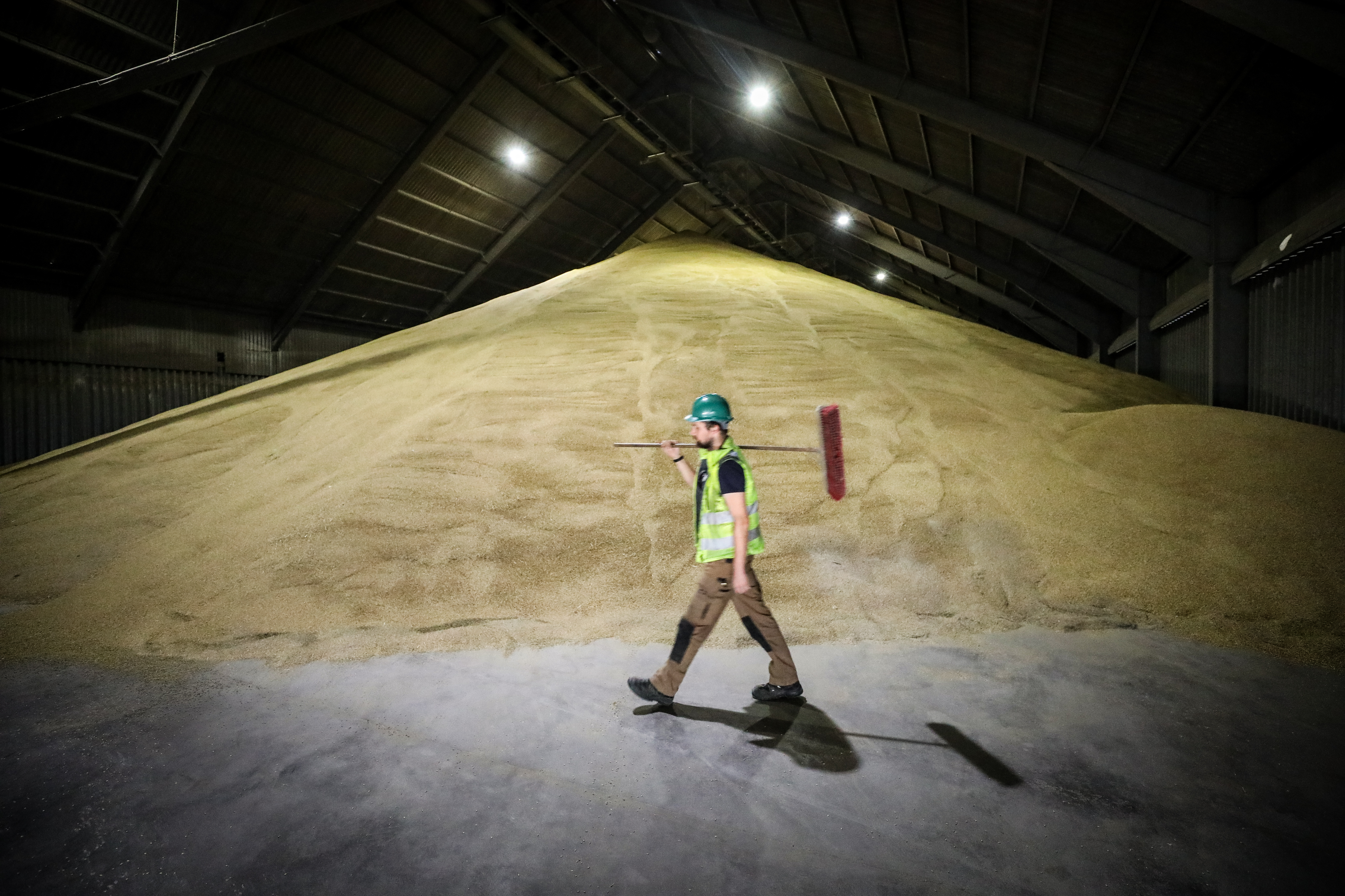 Brexit could bring opportunities but arable farmers are advised to consider the risks of storing grain beyond March.