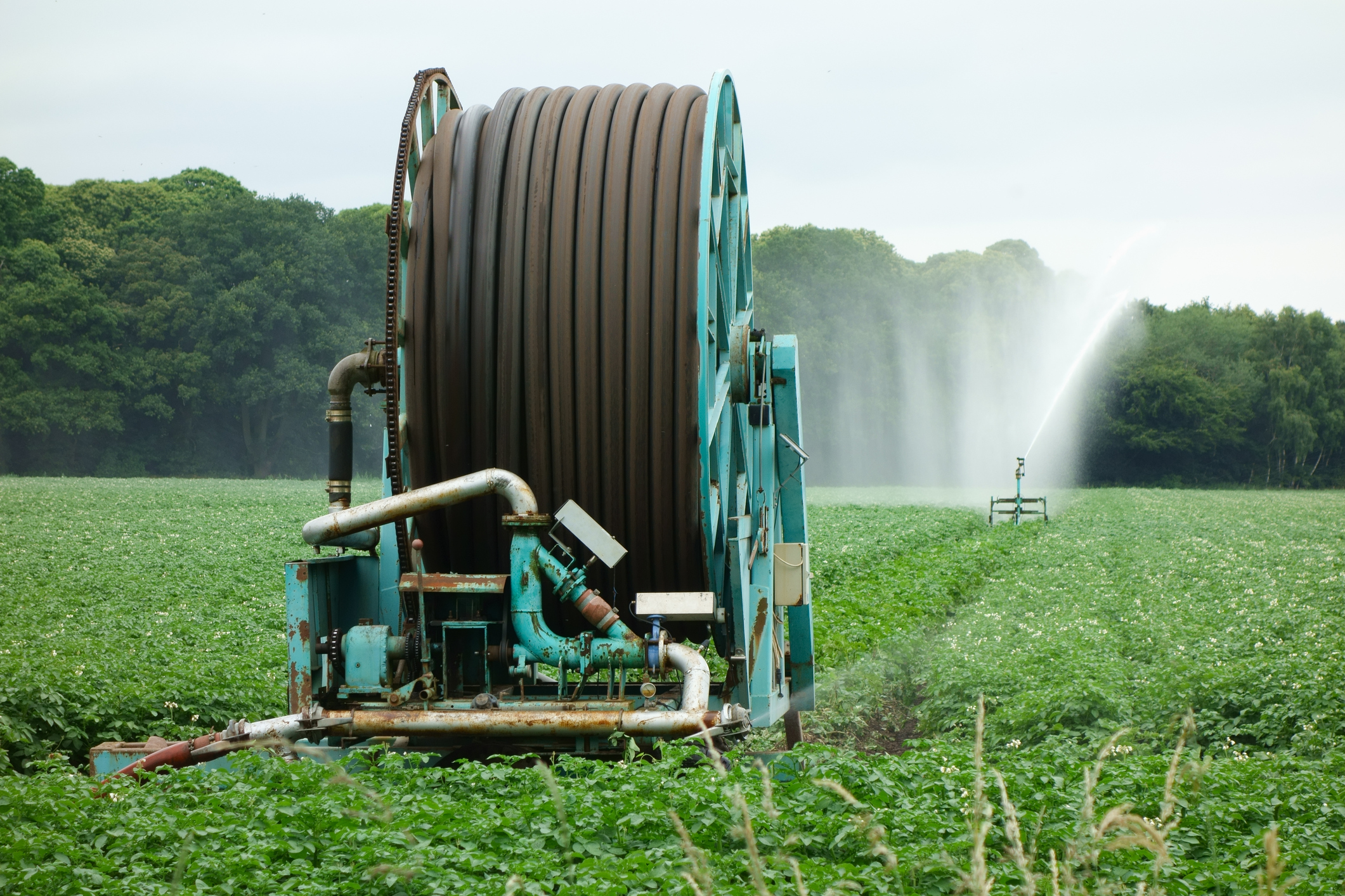 Irrigators were widely used on potato crops last summer.