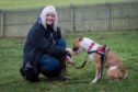 Shirley Perrie, a volunteer from Staffie Smiles Rescue, is appealing for foster carers in Fife to come forward to give some of their rescues a second chance.