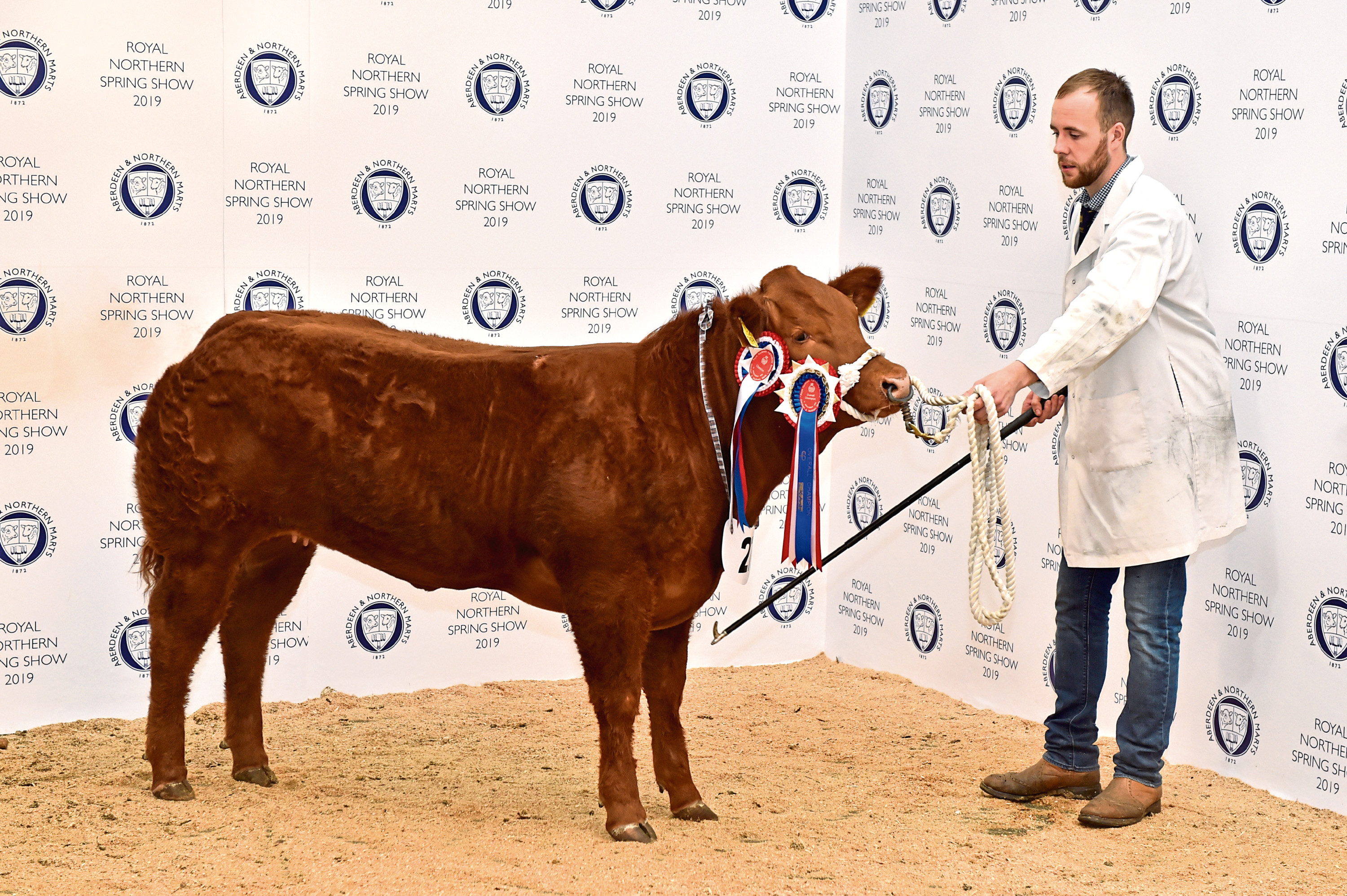 The overall champion exhibition calf topped the sale at £4,600.