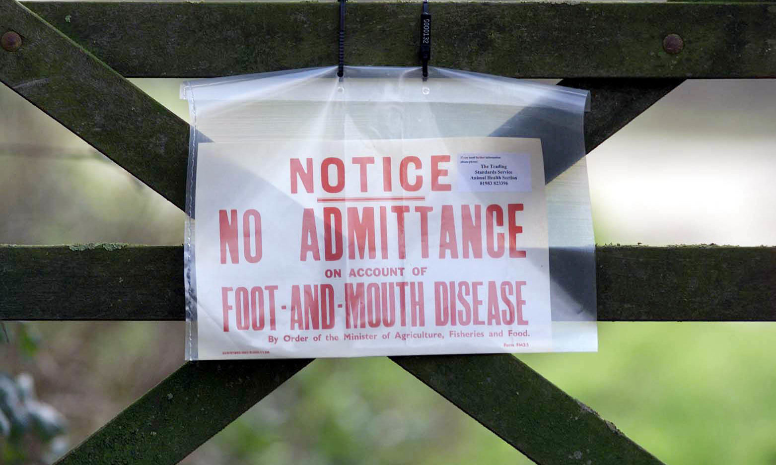 Wednesday, February 21 2001, where Ministry of Agriculture officials were investigating the possibility of an outbreak of foot-and-mouth disease.
