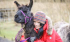 Gayle learns that llamas are indeed loveable!