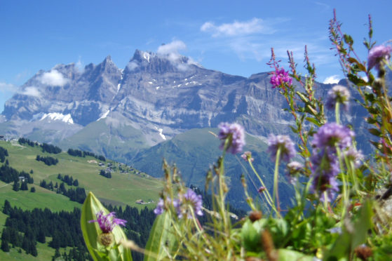 Mountain peaks around Morzine in summer.