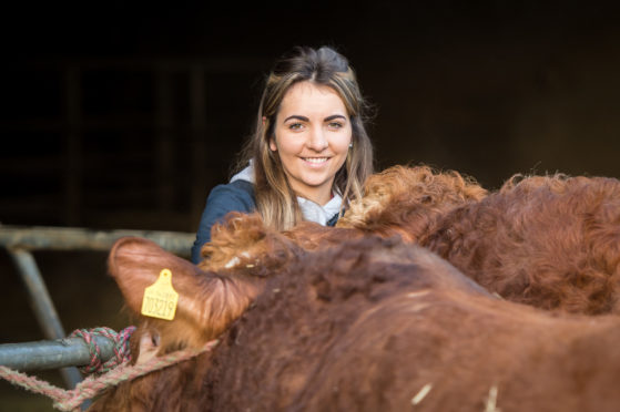 Stephanie Dick was only 24 when she took on a herd of cattle.