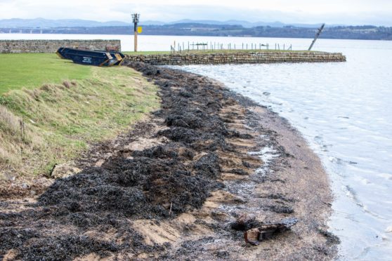 Oil contaminating the shoreline at Limekilns.